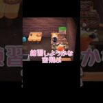 空も飛べるはず？【あつまれどうぶつの森】#あつ森 #ゲーム実況 #shorts