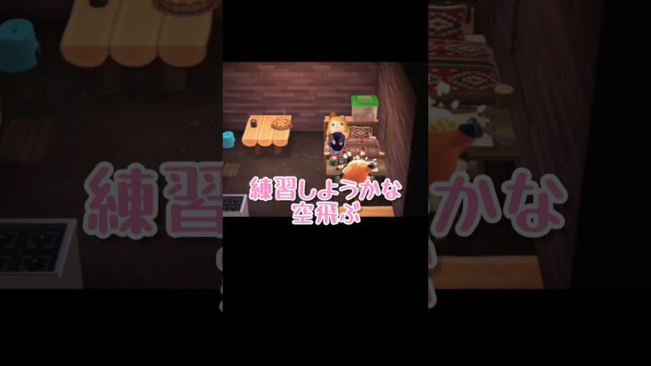 空も飛べるはず？【あつまれどうぶつの森】#あつ森 #ゲーム実況 #shorts