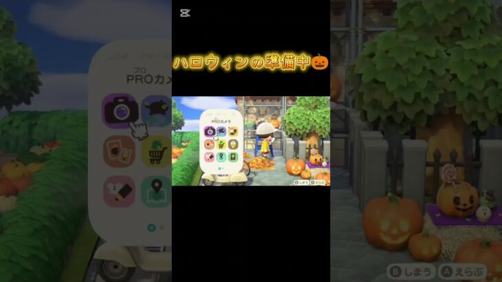 【あつ森】ハロウィンの準備中【あつまれどうぶつの森】 #shorts