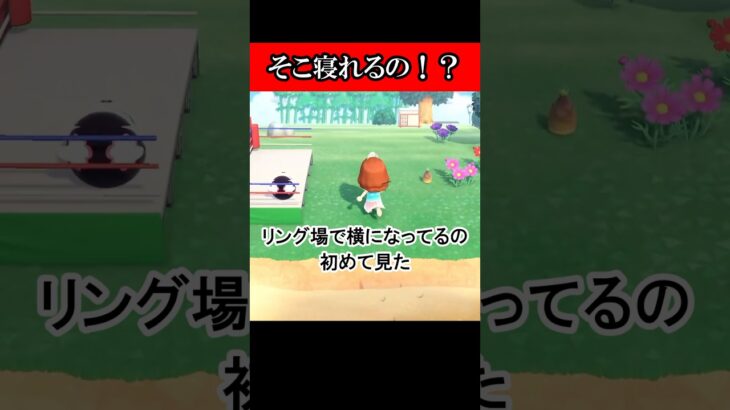 [あつ森]そこ寝れるの？！初めて知った#あつ森 ＃shorts