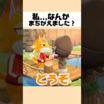 【あつ森】てんやわんやのプレゼント🎁 #あつ森 #あつまれどうぶつの森 #shorts