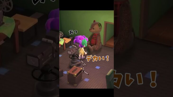 【 #あつ森実況 】直感で買った大きなクマ…どうしよう？ #shorts