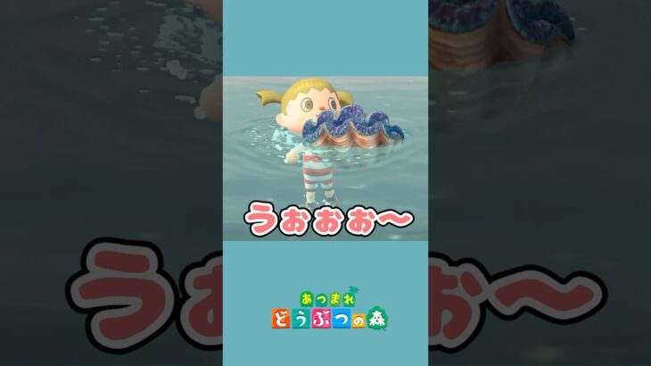 【あつ森】オオシャコガイの取り方#あつまれどうぶつの森 #あつ森 #ゲーム実況 #shorts