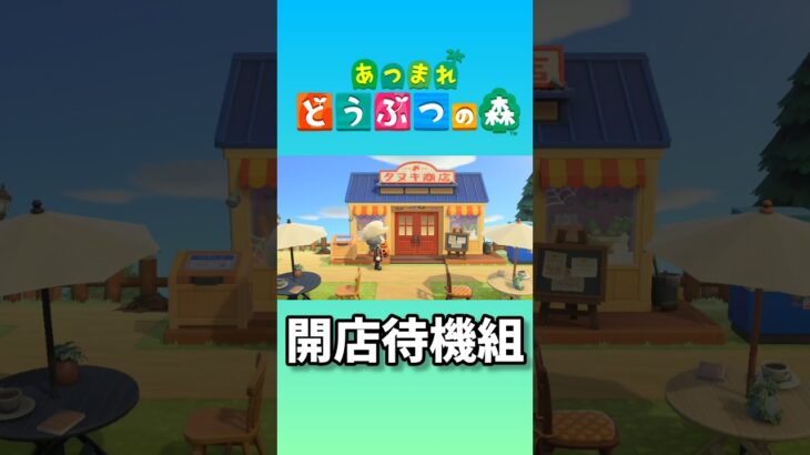 【あつ森】たぬき商店 開店待機組 #shorts