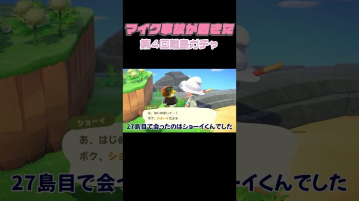 【あつ森】マイク入ってるの気付かないまま離島ガチャしてた😇【離島ガチャ】 #あつ森 #あつまれどうぶつの森 #離島ガチャ #shorts