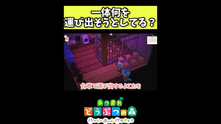 一体何を運び出してるのかな？【あつ森】#shorts
