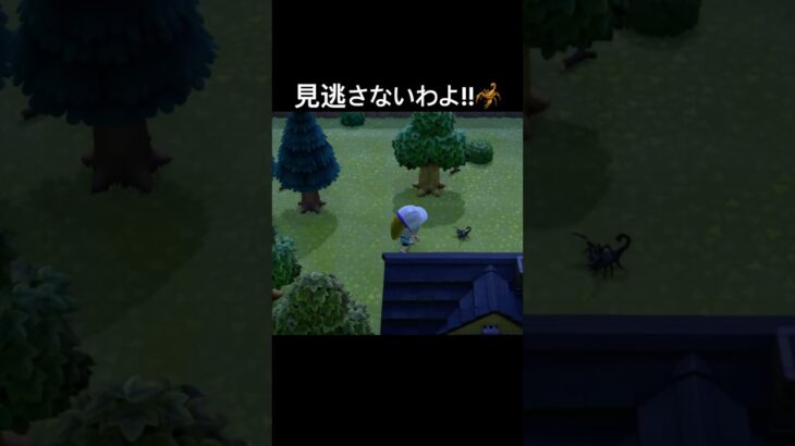 サソリ絶対見逃さないマン( ᐙ ) #あつまれどうぶつの森 #あつ森 #ゲーム実況 #shorts