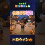 【あつ森】どれがいいかな？#shorts