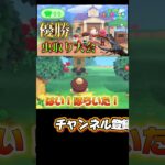 虫取り大会初出場‼️#あつまれどうぶつの森 #あつ森 #どうぶつの森 #ゲーム実況 #ゲーム #shorts