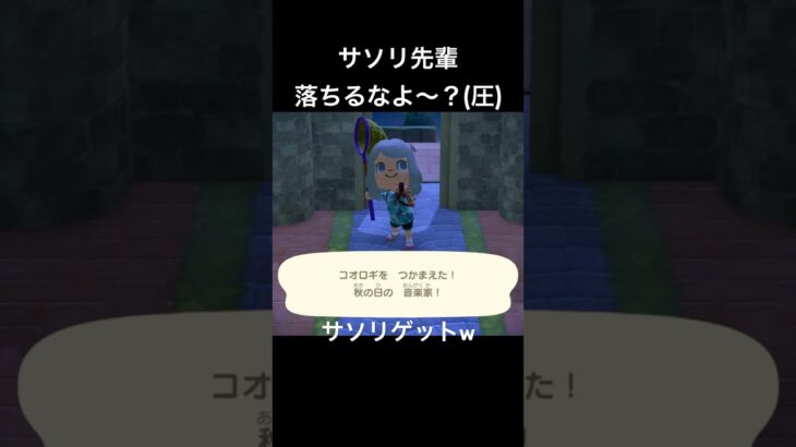 無事サソリ(？)ゲット( *˙ω˙*)و ｸﾞｯ! #あつまれどうぶつの森 #あつ森 #ゲーム実況 #shorts