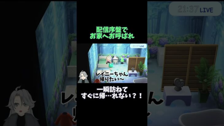 【 #あつ森実況 】配信序盤でおうちに呼ばれて…帰れない…！？ #shorts