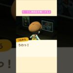 【あつ森】 すばらしいめいがを購入したよ @たーさんの趣味の部屋 #たーさん美術品を購入するよ#shorts