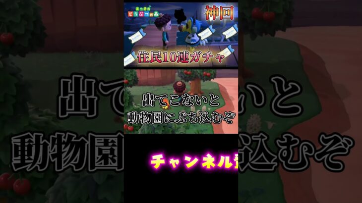 離島ガチャで大当たりできるかな〜#あつまれどうぶつの森 #あつ森 #どうぶつの森 #ゲーム実況 #ゲーム #shorts