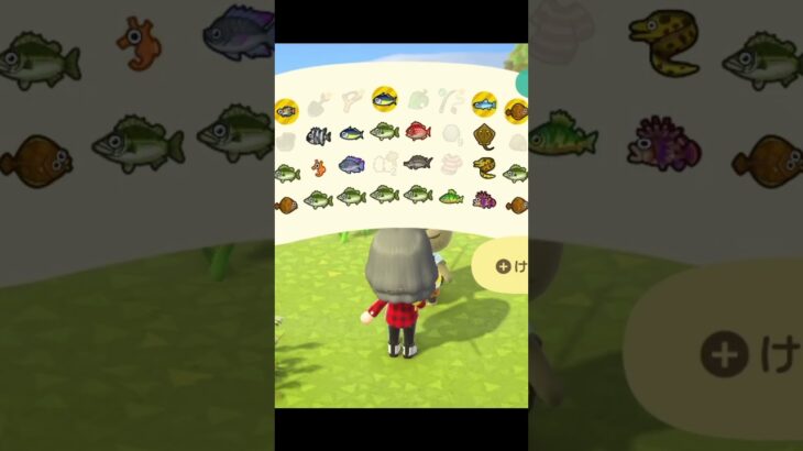 【あつ森】釣って釣って釣りまくる#あつ森 #ゲーム #shorts