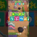 【あつまれどうぶつの森】傘こわれてる ロッキー☂ #あつ森 #shorts