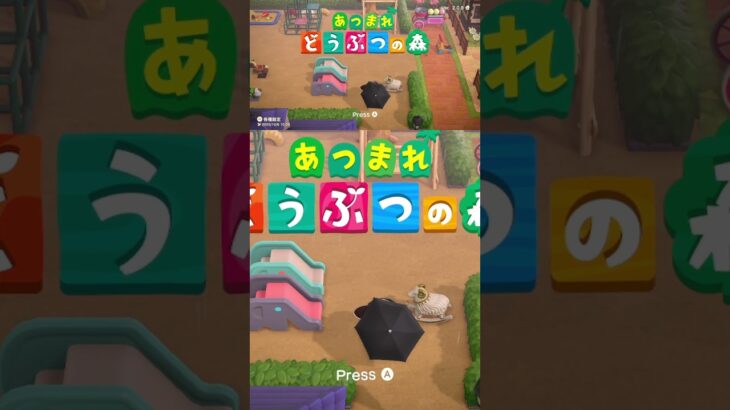 【あつまれどうぶつの森】傘こわれてる ロッキー☂ #あつ森 #shorts