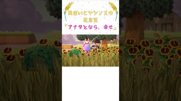 てぇてぇ、誕生ならず #あつ森 #あつまれどうぶつの森 #ゲーム #shorts #acnh  #animalcrossing