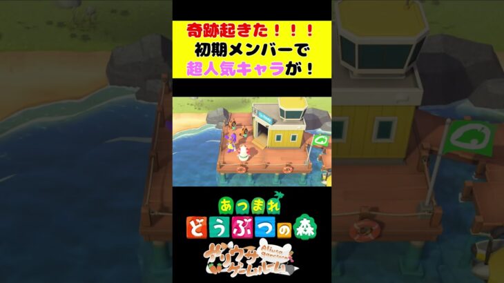 【あつ森】初期メンバーで超人気キャラきました！！！#shorts #あつ森 #animalcrossing