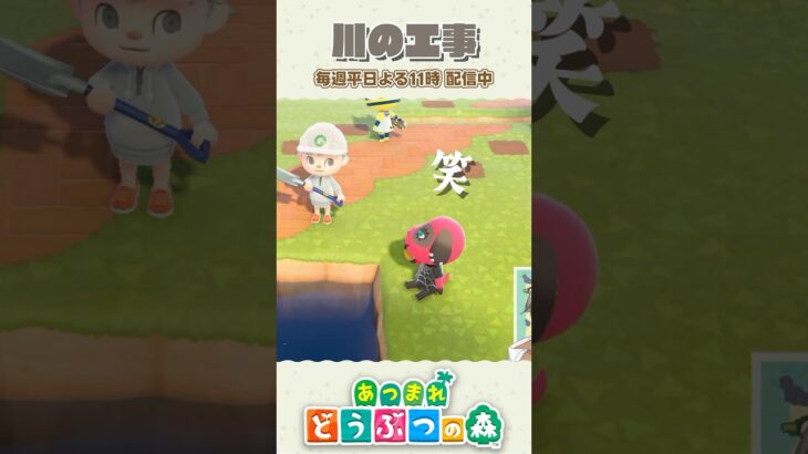 邪魔されながら進める島クリも悪くない【あつ森】 #shorts #あつ森 #あつまれどうぶつの森 #animalcrossing #acnh