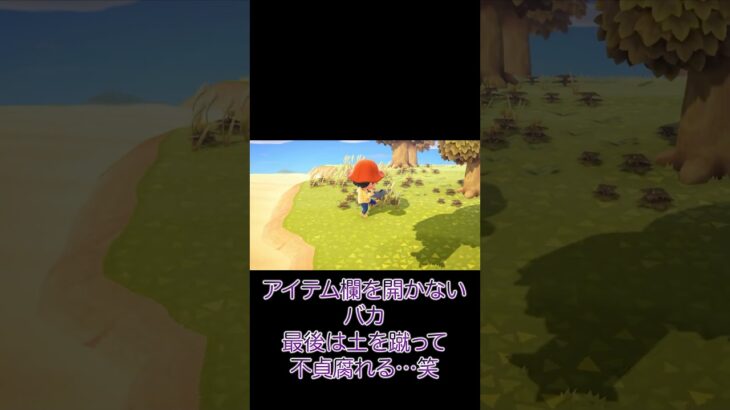 次は絶対捕まえる。#shorts  #switch #あつ森  #ゲーム実況