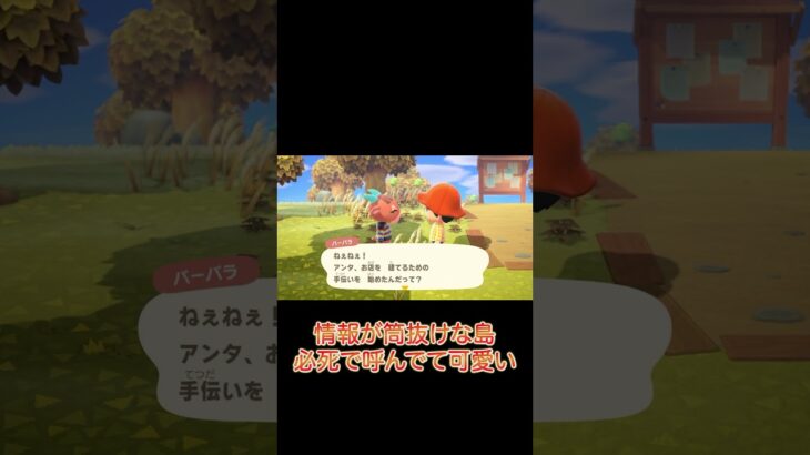 情報が筒抜けで怖い笑 #shorts  #あつ森 #ゲーム実況 #switch#バーバラ