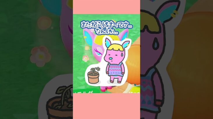 まあ距離感って大事だしね..笑【あつ森】#shorts #あつ森#ゲーム実況#vtuber