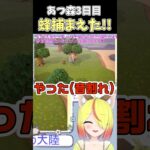 #shorts 蜂捕獲！！ #あつまれどうぶつの森 #あつ森 #vtuber #新人vtuber #切り抜き #おもしろ #猫綿むう