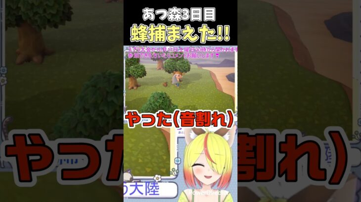 #shorts 蜂捕獲！！ #あつまれどうぶつの森 #あつ森 #vtuber #新人vtuber #切り抜き #おもしろ #猫綿むう