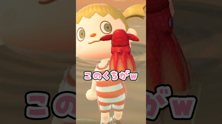 【あつ森】レアなコウモリダコを捕まえた#あつまれどうぶつの森 #あつ森 #shortvideo #shorts