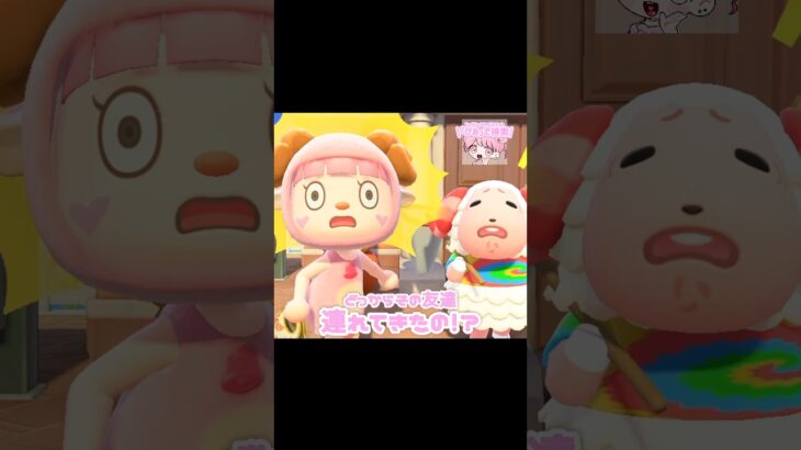 ピョンピョンしてるちゃちゃまるの友達…？！？！#あつ森 #どうぶつの森 #あつまれどうぶつの森 #どう森 #shortvideo #shorts #short #ノミの模型