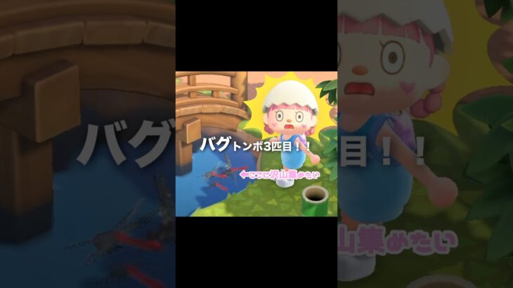 バクってるトンボを大量に集めたい…？！？！#あつ森 #どうぶつの森 #あつまれどうぶつの森 #どう森 #shortvideo #shorts #short #あつ森バクトンボ