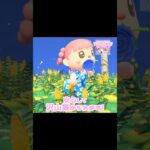 ヒカリゴケが復活するリゾート地…？！？！#あつ森 #どうぶつの森 #あつまれどうぶつの森 #どう森 #shortvideo #shorts #short #ヒカリゴケが復活 #あつ森　リゾート地