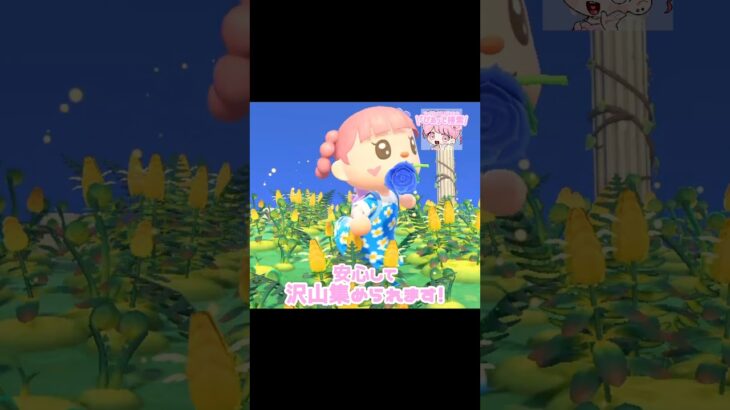 ヒカリゴケが復活するリゾート地…？！？！#あつ森 #どうぶつの森 #あつまれどうぶつの森 #どう森 #shortvideo #shorts #short #ヒカリゴケが復活 #あつ森　リゾート地