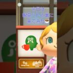 【あつ森小ネタ】マスターに通い続けた結果…まさかのご褒美が!☕✨ #あつまれどうぶつの森 #あつ森 #switch #acnh #あつ森小ネタ #ゲーム実況 #ゲーム