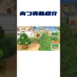 あつ森で頑張って作った島　#switch #あつ森 #ゲーム #shorts