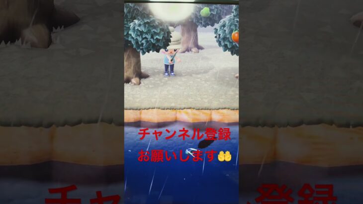#あつ森#あつまれどうぶつの森#どうぶつの森#スイッチ#switch#ニンテンドー#任天堂#nintendo#動物#釣り#釣り竿#魚釣り#海#海の生物#海の生き物#化石#ハニワ