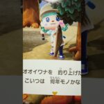 #あつ森#あつまれどうぶつの森#どうぶつの森#スイッチ#switch#ニンテンドー#任天堂#nintendo#動物#釣り#釣り竿#魚釣り#海#海の生物#海の生き物#化石#ハニワ