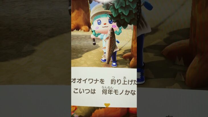 #あつ森#あつまれどうぶつの森#どうぶつの森#スイッチ#switch#ニンテンドー#任天堂#nintendo#動物#釣り#釣り竿#魚釣り#海#海の生物#海の生き物#化石#ハニワ