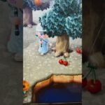 #あつ森#あつまれどうぶつの森#どうぶつの森#スイッチ#switch#ニンテンドー#任天堂#nintendo#動物#釣り#釣り竿#魚釣り#海#海の生物#海の生き物#化石#ハニワ