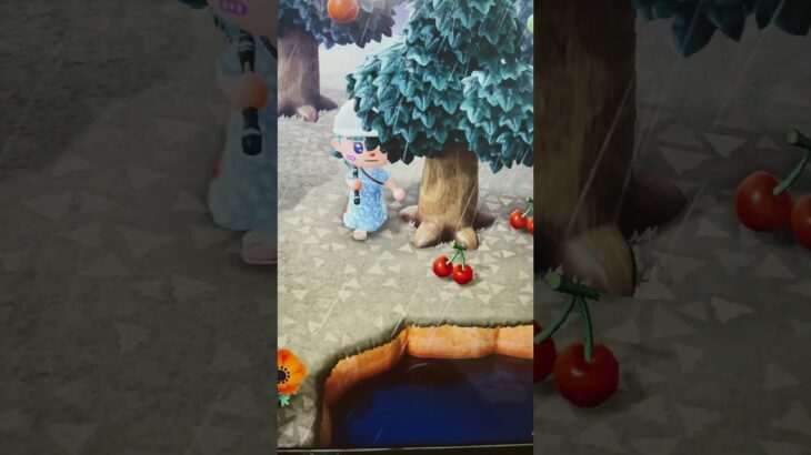 #あつ森#あつまれどうぶつの森#どうぶつの森#スイッチ#switch#ニンテンドー#任天堂#nintendo#動物#釣り#釣り竿#魚釣り#海#海の生物#海の生き物#化石#ハニワ