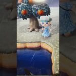 #あつ森#あつまれどうぶつの森#どうぶつの森#スイッチ#switch#ニンテンドー#任天堂#nintendo#動物#釣り#釣り竿#魚釣り#海#海の生物#海の生き物#化石#ハニワ