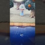 #あつ森#あつまれどうぶつの森#どうぶつの森#スイッチ#switch#ニンテンドー#任天堂#nintendo#動物#釣り#釣り竿#魚釣り#海#海の生物#海の生き物#化石#ハニワ