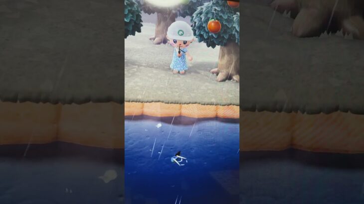 #あつ森#あつまれどうぶつの森#どうぶつの森#スイッチ#switch#ニンテンドー#任天堂#nintendo#動物#釣り#釣り竿#魚釣り#海#海の生物#海の生き物#化石#ハニワ