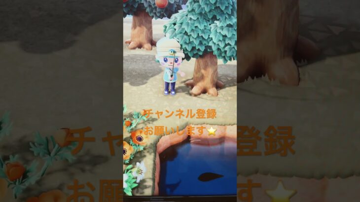 #あつ森#あつまれどうぶつの森#どうぶつの森#スイッチ#switch#ニンテンドー#任天堂#nintendo#動物#釣り#釣り竿#魚釣り#海#海の生物#海の生き物#化石#ハニワ
