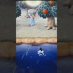 #あつ森#あつまれどうぶつの森#どうぶつの森#スイッチ#switch#ニンテンドー#任天堂#nintendo#動物#釣り#釣り竿#魚釣り#海#海の生物#海の生き物#化石#ハニワ