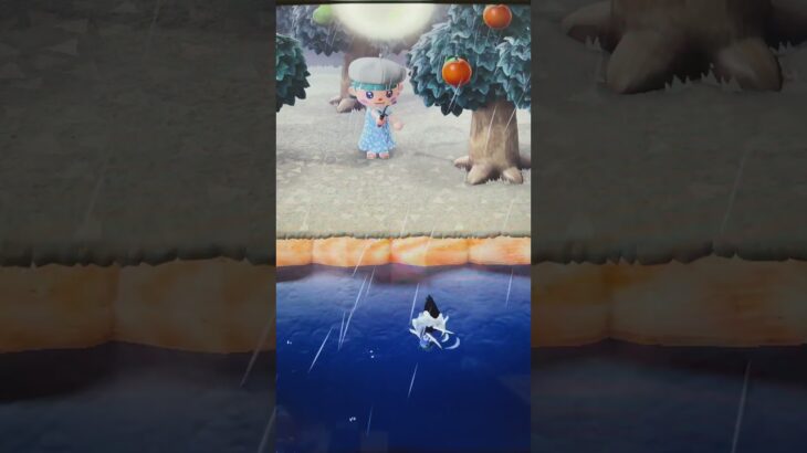 #あつ森#あつまれどうぶつの森#どうぶつの森#スイッチ#switch#ニンテンドー#任天堂#nintendo#動物#釣り#釣り竿#魚釣り#海#海の生物#海の生き物#化石#ハニワ