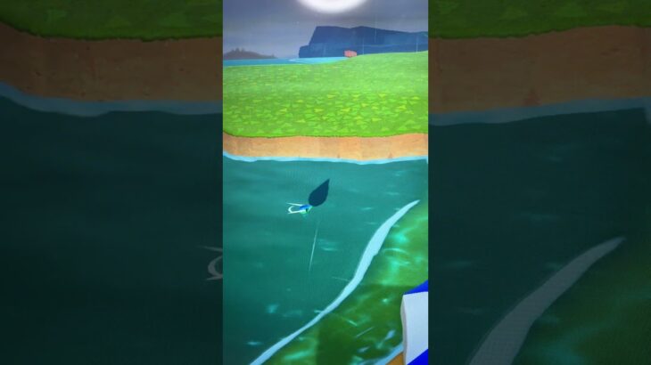 #あつ森#あつまれどうぶつの森#どうぶつの森#スイッチ#switch#ニンテンドー#任天堂#nintendo#動物#釣り#釣り竿#魚釣り#海#海の生物#海の生き物#化石#ハニワ