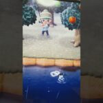 #あつ森#あつまれどうぶつの森#どうぶつの森#スイッチ#switch#ニンテンドー#任天堂#nintendo#動物#釣り#釣り竿#魚釣り#海#海の生物#海の生き物#化石#ハニワ