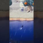 #あつ森#あつまれどうぶつの森#どうぶつの森#スイッチ#switch#ニンテンドー#任天堂#nintendo#動物#釣り#釣り竿#魚釣り#海#海の生物#海の生き物#化石#ハニワ