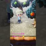 #あつ森#あつまれどうぶつの森#どうぶつの森#スイッチ#switch#ニンテンドー#任天堂#nintendo#動物#釣り#釣り竿#魚釣り#海#海の生物#海の生き物#化石#ハニワ